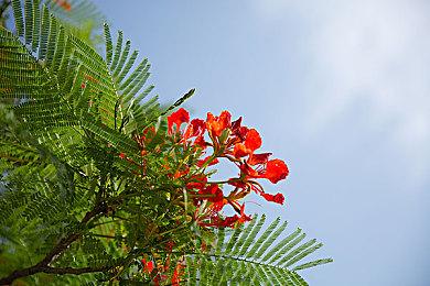 新版Steam商店页现已推出 搜索栏更为智能